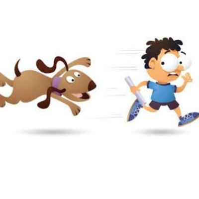 chien qui poursuit garçon